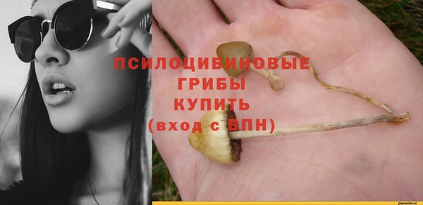 не бодяженный Липки